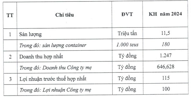 Vừa niêm yết trên HoSE, Cảng Quy Nhơn (QNP) dự trình kế hoạch lãi thận trọng- Ảnh 1.