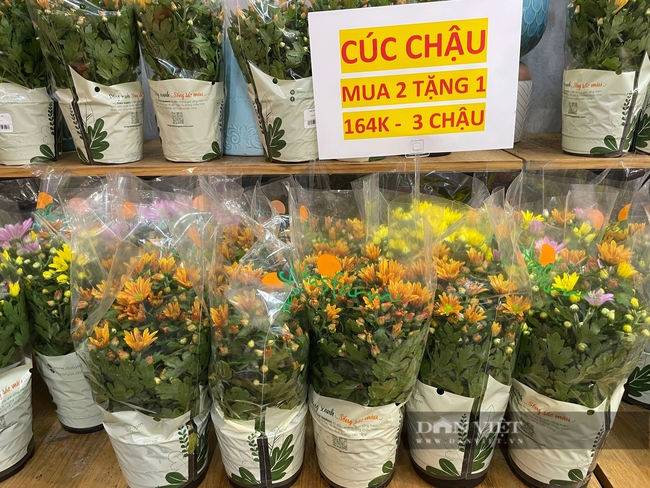 Chợ, siêu thị 30 Tết đông nghẹt: Khách đi gom đồ giảm giá, người bán sale sập sàn để đẩy hết hàng- Ảnh 3.