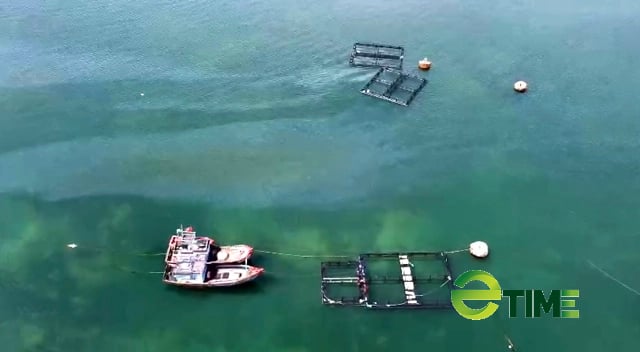 Quảng Ngãi: Tín hiệu vui cho đề xuất trang trại nuôi thuỷ sản lồng bè HDPE ở biển hòn Bàn Than - Ảnh 1. Quảng Ngãi: Tín hiệu vui cho đề xuất trang trại nuôi thuỷ sản lồng bè HDPE ở biển hòn Bàn Than - Ảnh 1.