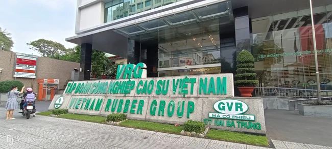 "Ông lớn" GVR lên danh sách bán vốn 8 đơn vị thành viên tới năm 2025- Ảnh 1.