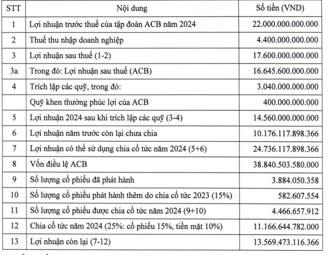 ACB dự trình lợi nhuận tăng trưởng 10%, chia cổ tức tỷ lệ 25%- Ảnh 2.