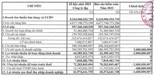 Casumina (CSM) nói gì về việc lợi nhuận "bốc hơi" sau kiểm toán?- Ảnh 1.