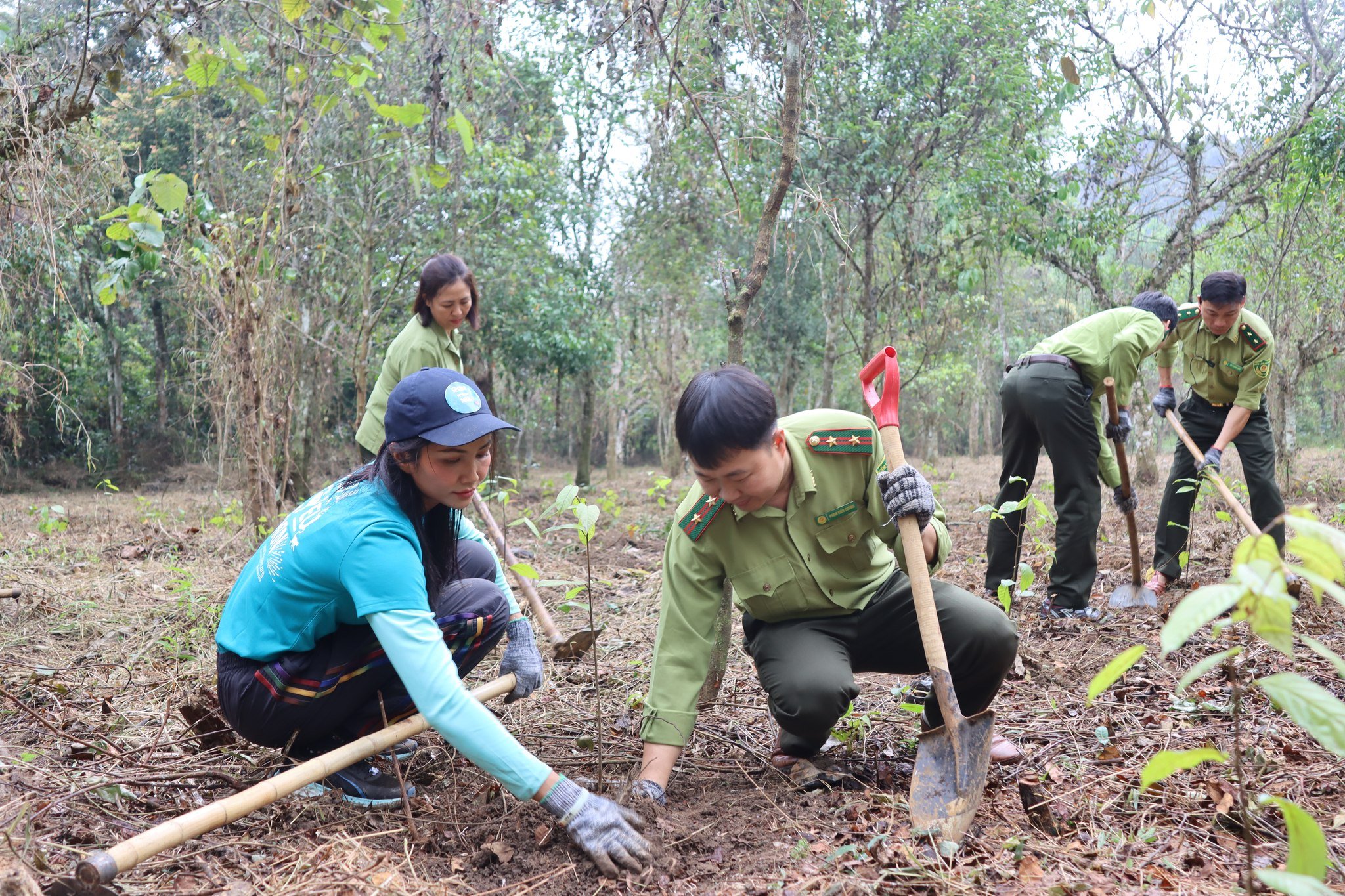 Chuyển nhượng tín chỉ carbon ở Việt Nam, giá bao nhiêu là hợp lý, nông dân hưởng lợi còn ít?- Ảnh 1.