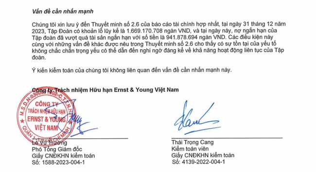 Bị kiểm toán nghi ngờ khả năng hoạt động liên tục năm thứ 7 liên tiếp, HAGL giải trình gì?- Ảnh 2.