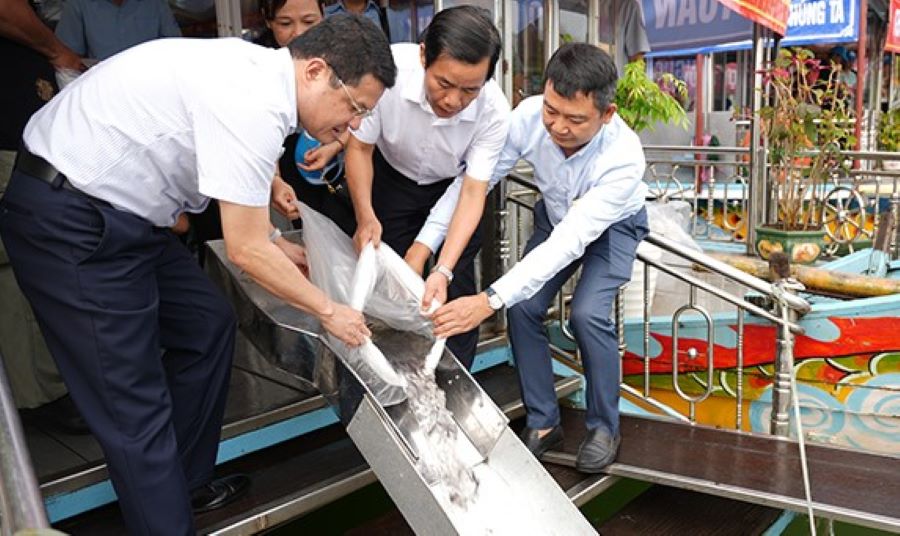 Thừa Thiên Huế thả 160.000 con cá giống xuống sông Hương để tái tạo nguồn lợi thủy sản - Ảnh 1.