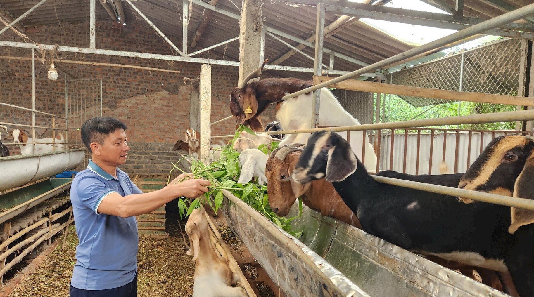 Hội Nông dân Hải Dương nhân rộng các điển hình nông dân giỏi từ nguồn vốn Quỹ Hỗ trợ nông dân- Ảnh 1.