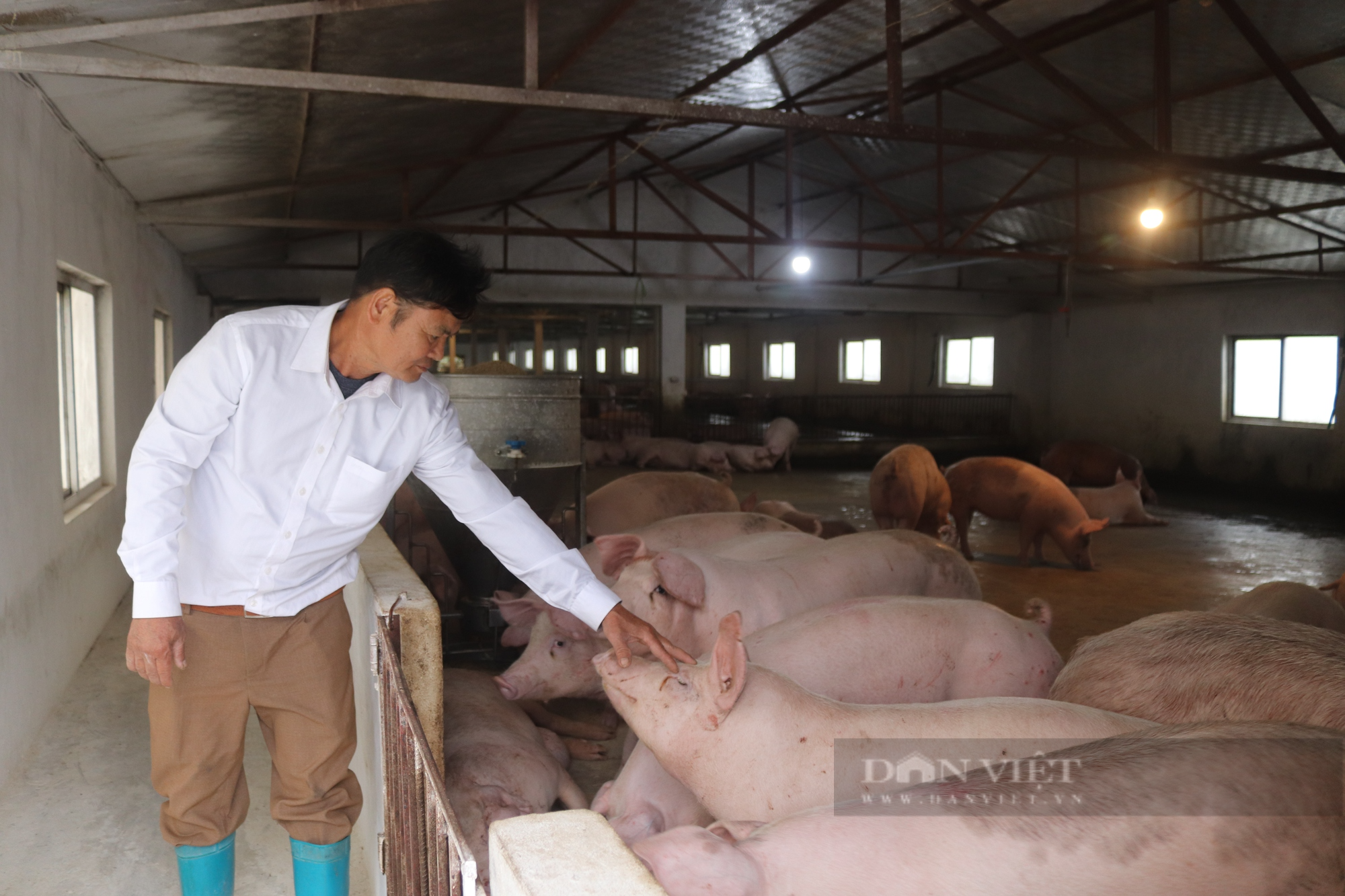 Hội Nông dân tỉnh Hoà Bình làm "cầu nối” giúp nông dân vay vốn Ngân hàng CSXH phát triển kinh tế- Ảnh 1.