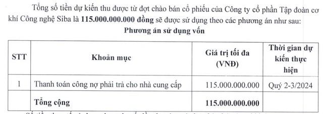 Siba Group (SBG) muốn tăng vốn lên 500 tỷ đồng- Ảnh 1.