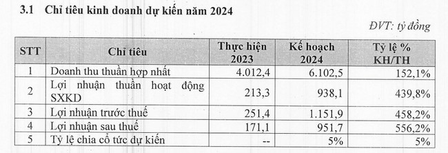 Bamboo Capital (BCG) có tân Tổng giám đốc trước thềm Đại hội cổ đông- Ảnh 2.