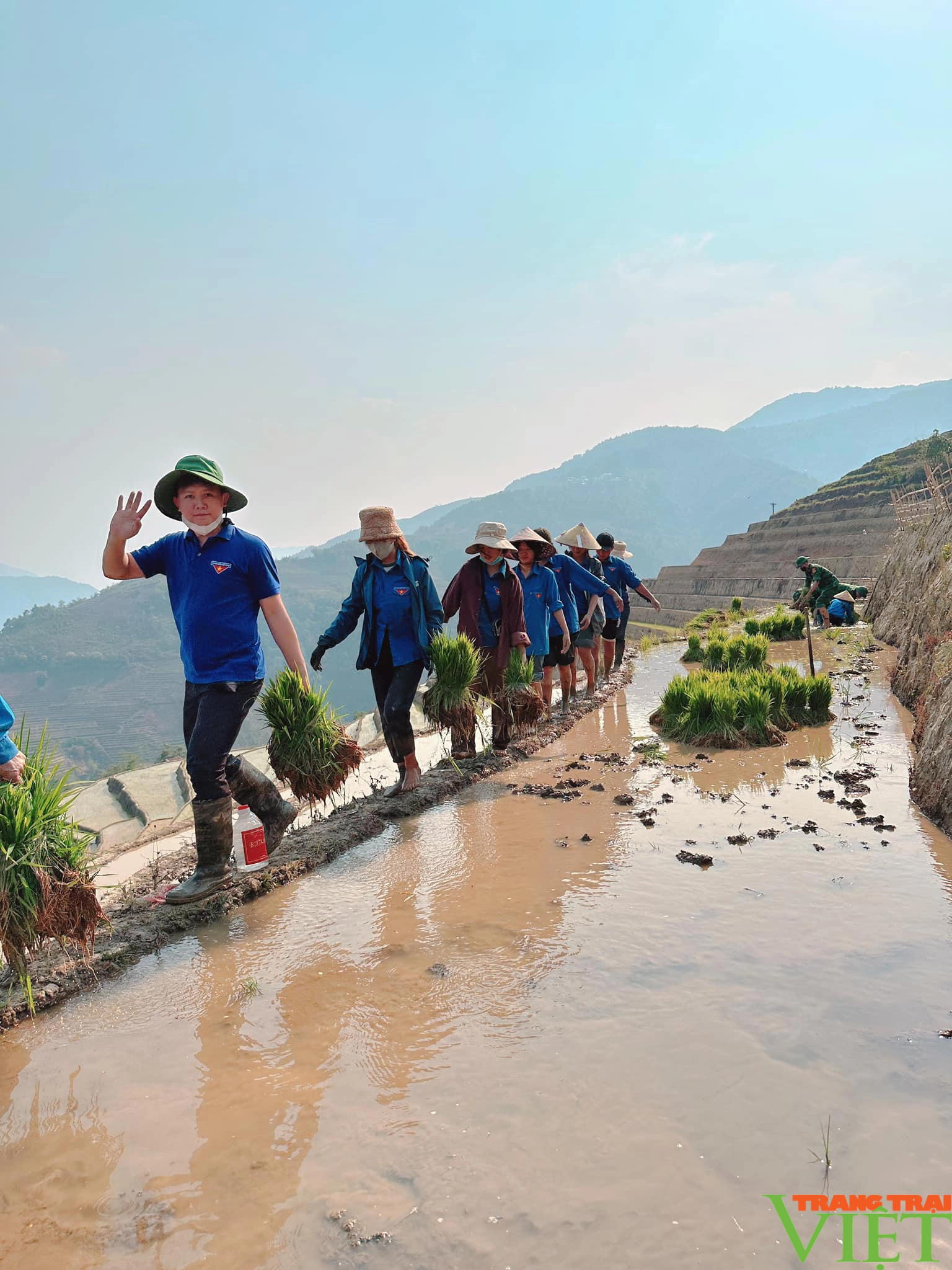 Xúc động hình ảnh tuổi trẻ huyện Mường Tè bì bõm lội ruộng cấy lúa giúp dân- Ảnh 7. Xúc động hình ảnh tuổi trẻ huyện Mường Tè bì bõm lội ruộng cấy lúa giúp dân- Ảnh 7.