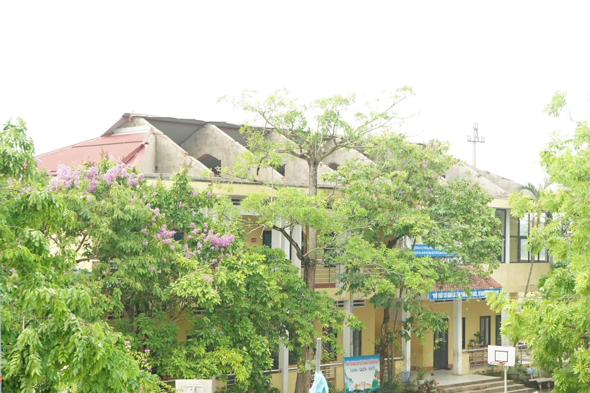 Dông lốc ở Thừa Thiên Huế gây mất điện diện rộng, gần 1.300 ha lúa bị đổ ngã- Ảnh 4.