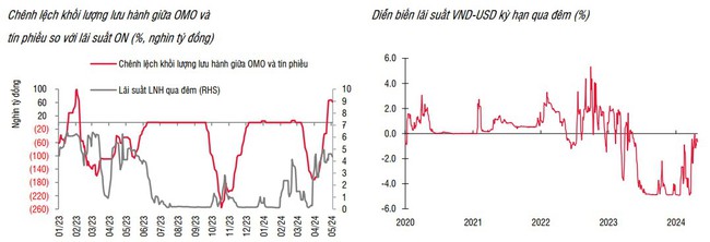 SSI Research: Tỷ giá USD/VND và giá vàng biến động trái ngược với thế giới- Ảnh 1.