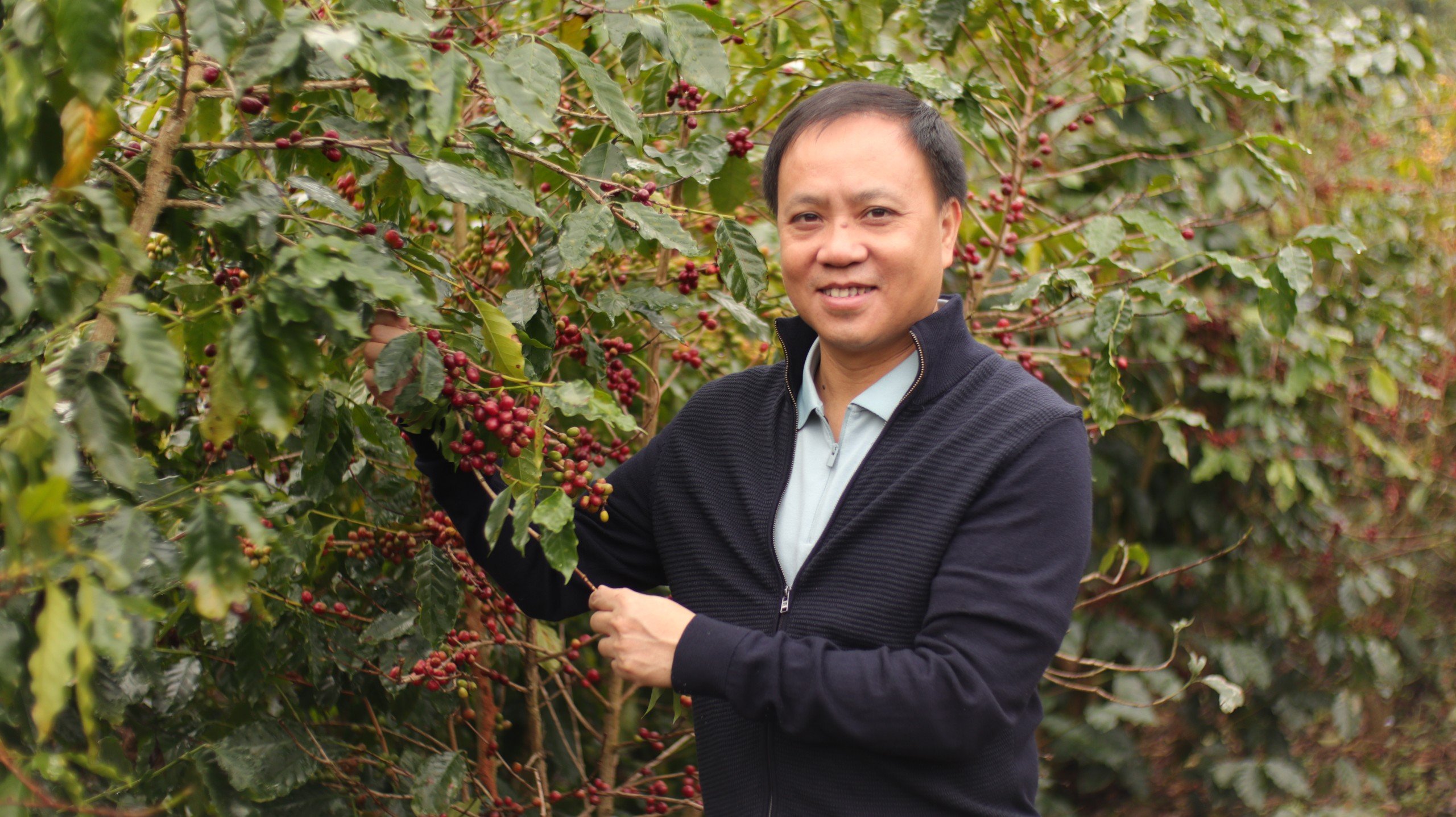 Cứ như nghe nhầm, giá cà phê càng tăng cao, doanh nghiệp cà phê Việt Nam phá sản càng nhiều?- Ảnh 1.