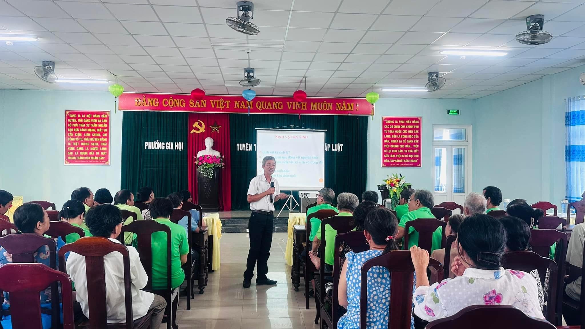 Tập huấn kỹ thuật trồng rau an toàn cho hội viên nông dân ở Huế- Ảnh 1.