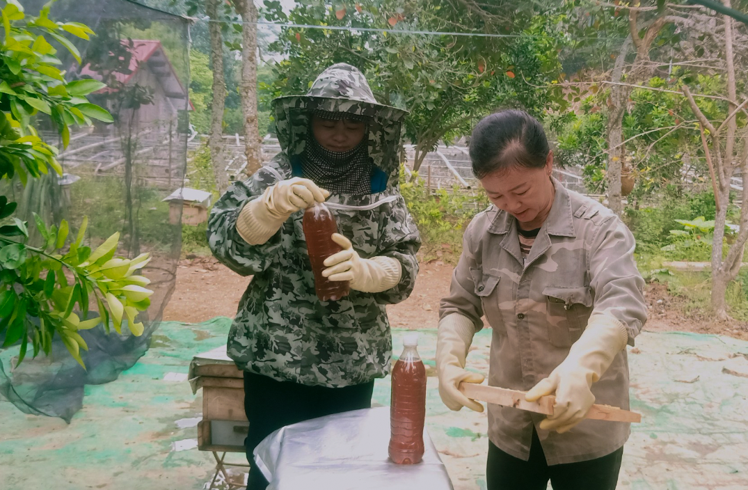 Nông dân Lào Cai xây dựng thành công sản phẩm mật ong núi đá, nhà nào cũng có của ăn của để- Ảnh 4. Nông dân Lào Cai xây dựng thành công sản phẩm mật ong núi đá, nhà nào cũng có của ăn của để- Ảnh 4.