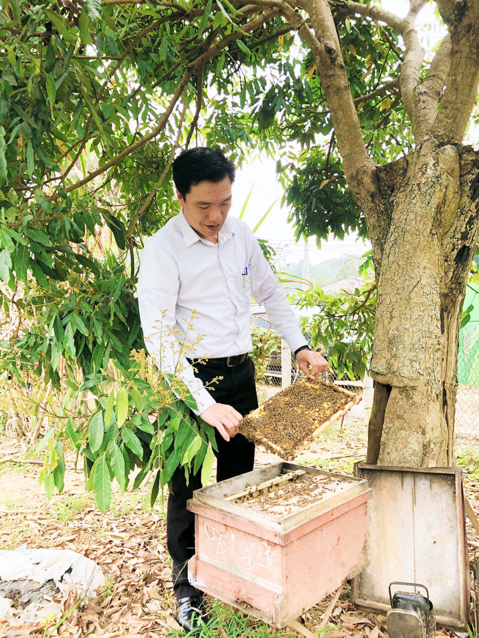Nông dân Lào Cai xây dựng thành công sản phẩm mật ong núi đá, nhà nào cũng có của ăn của để- Ảnh 5. Nông dân Lào Cai xây dựng thành công sản phẩm mật ong núi đá, nhà nào cũng có của ăn của để- Ảnh 5.