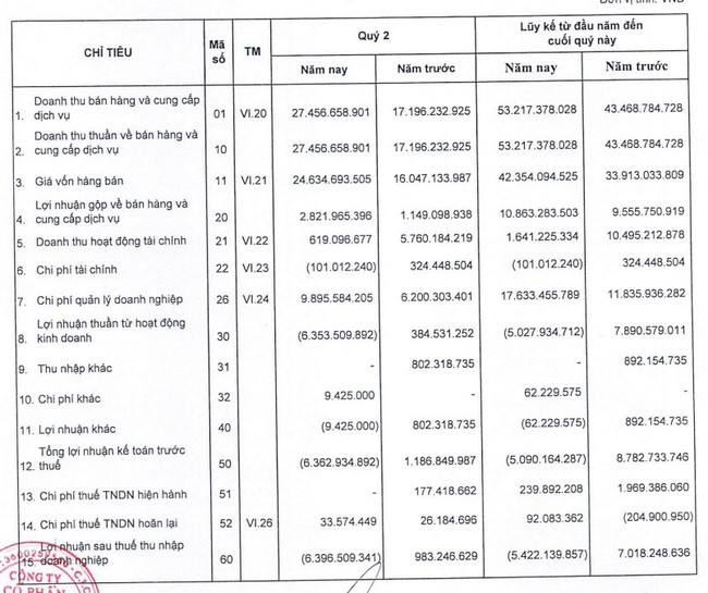 KQKD quý II/2024: "Bốc hơi" gần 90% doanh thu tài chính, D2D báo lỗ sâu nhất kể từ khi niêm yết- Ảnh 1.