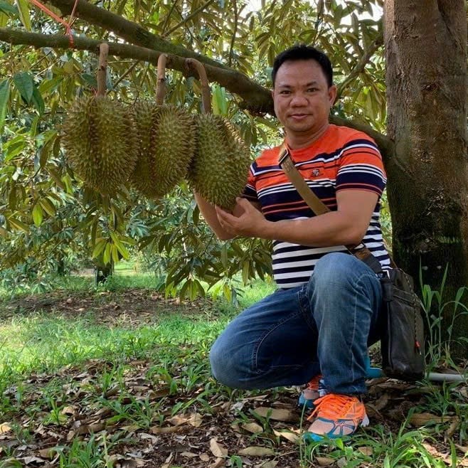 Sầu riêng đông lạnh của Việt Nam có cơ hội lớn về xuất khẩu ra thị trường toàn cầu, vì sao vậy?- Ảnh 1.