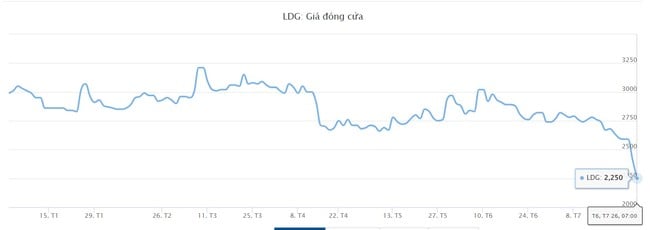 Đầu tư LDG nói gì về việc bị yêu cầu mở thủ tục phá sản?- Ảnh 1.