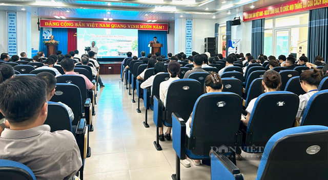 Mời Giáo sư, Tiến sỹ chuyên khoa đầu ngành cập nhật kiến thức mới cho Bệnh viện Sản – Nhi Quảng Ngãi- Ảnh 6.