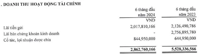 Công viên nước Đầm Sen (DSN) báo lãi giảm 17%, đầu tư cổ phiếu ngành dược dự kiến lãi tới 10 tỷ đồng- Ảnh 2.