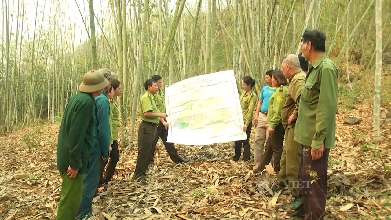 Đa dạng các hình thức tuyên truyền bảo vệ rừng ở Điện Biên- Ảnh 1.