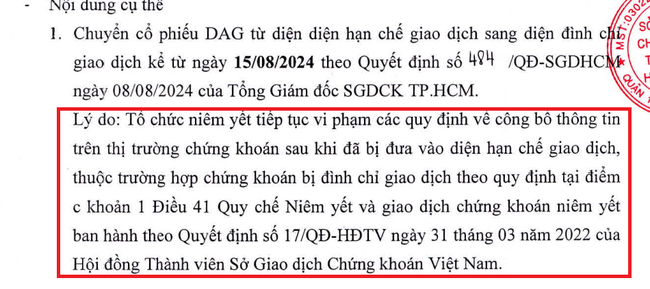 Vì sao cổ phiếu DAG của Nhựa Đông Á sắp vào diện đình chỉ giao dịch? - Ảnh 1.