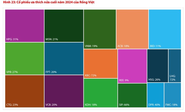 17 mã cổ phiếu được "lọt vào tầm ngắm" của Chứng khoán Rồng Việt  - Ảnh 3.