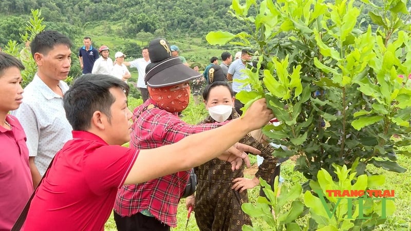 Tuần Giáo được đầu tư xây dựng hồ chứa nước Sái Lương có dung tích khoảng 5 triệu m3 - Ảnh 2.