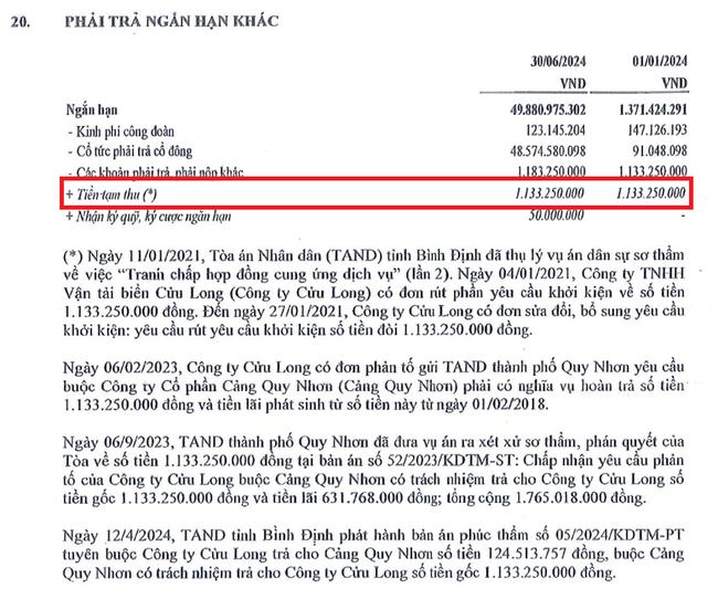 Cảng Quy Nhơn (QNP) thực hiện 83% kế hoạch lãi năm, diễn biến mới về khoản tranh chấp với Cửu Long?- Ảnh 4.