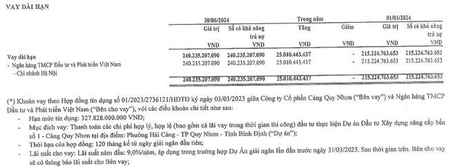 Cảng Quy Nhơn (QNP) thực hiện 83% kế hoạch lãi năm, diễn biến mới về khoản tranh chấp với Cửu Long?- Ảnh 3.