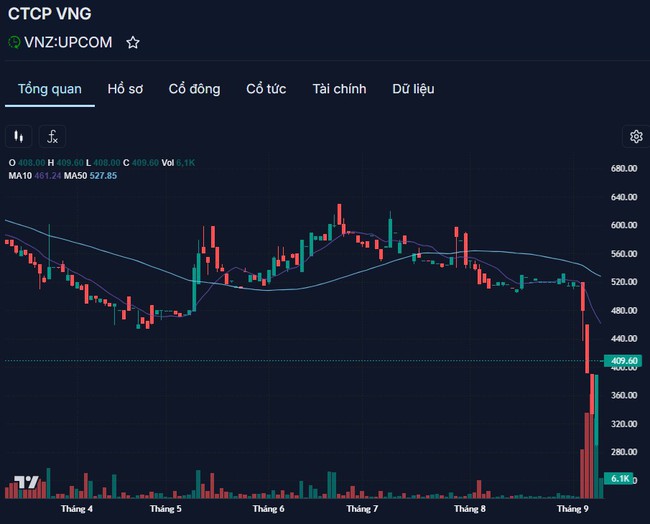 VNG lên tiếng về vai trò của ông Lê Hồng Minh, cổ phiếu lập tức "nhuộm tím" - Ảnh 3.