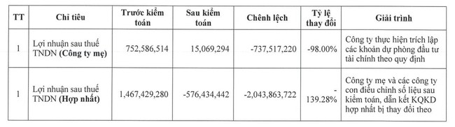 Vì sao Tập đoàn Điện Quang (DQC) chuyển từ lãi sang lỗ sau kiểm toán? - Ảnh 1.