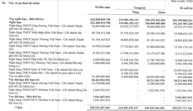 Vì sao Tập đoàn Điện Quang (DQC) chuyển từ lãi sang lỗ sau kiểm toán? - Ảnh 2.