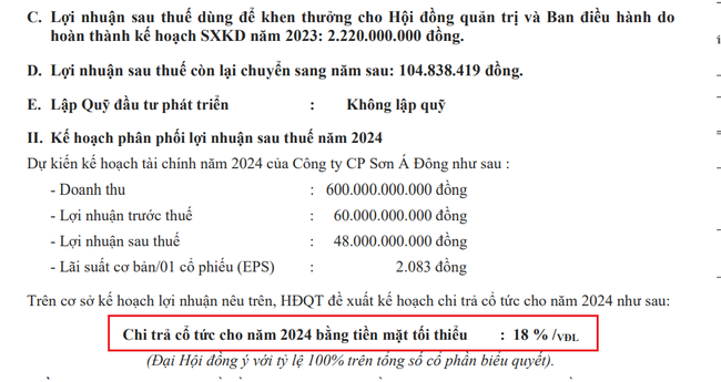 Sơn Á Đông (ADP) - Ảnh 2.