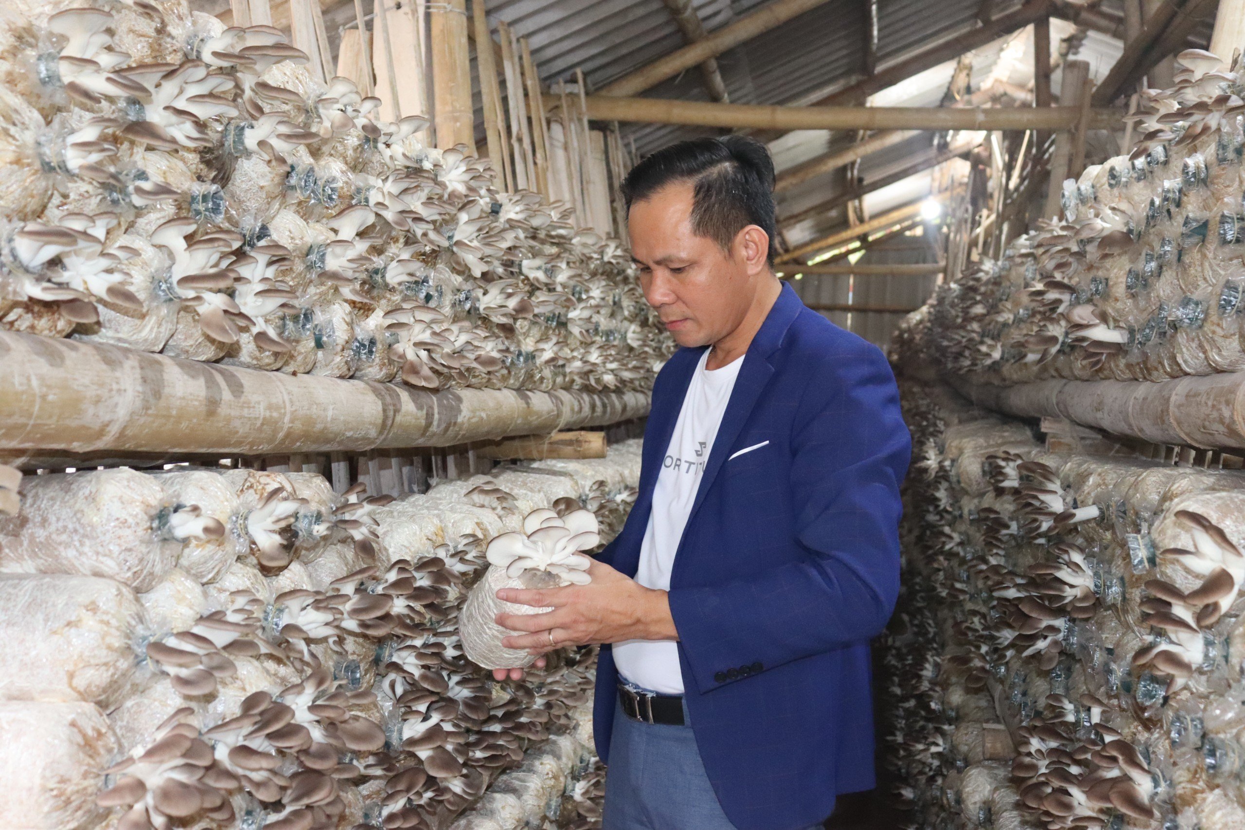 tat/Nông dân tuổi Tỵ “kéo” cả làng làm giàu - Ảnh 1.