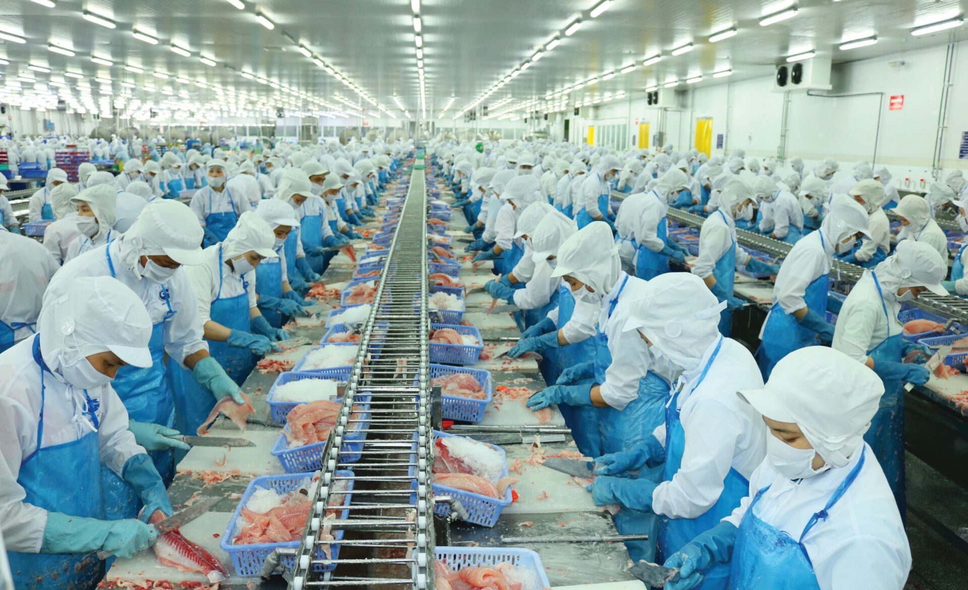 tat/Doanh nghiệp thủy sản chủ động ứng biến khi xuất khẩu vào Mỹ  - Ảnh 2.