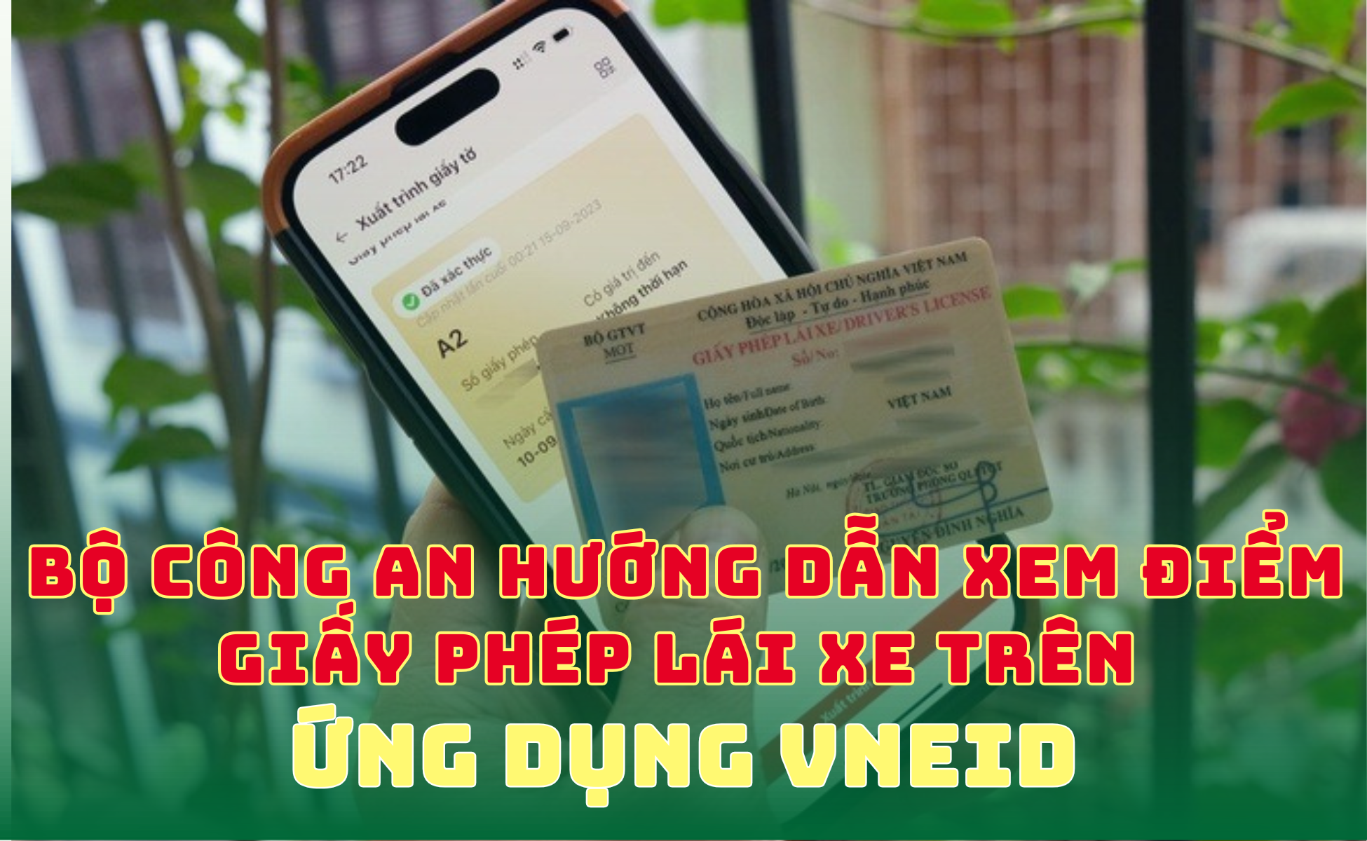 Cách kiểm tra số điểm giấy phép lái xe trên ứng dụng VNeID từ tháng 1/2025- Ảnh 1.
