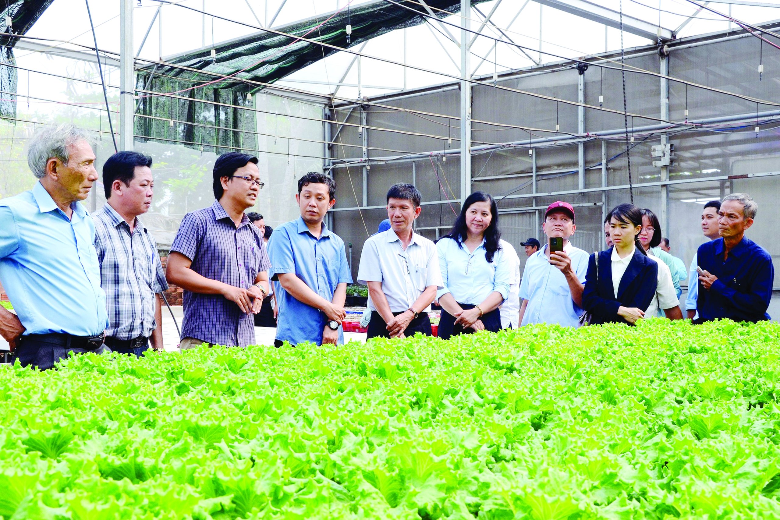 gop/Quỹ Hỗ trợ nông dân đạt gần 5.300 tỷ đồng, giúp hàng triệu nông dân làm giàu - Ảnh 1.