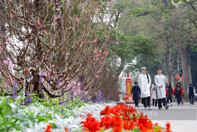 Người khai trương, mở hàng năm mới Ất Tỵ 2025 hợp nhất với tuổi Tỵ - Ảnh 1.