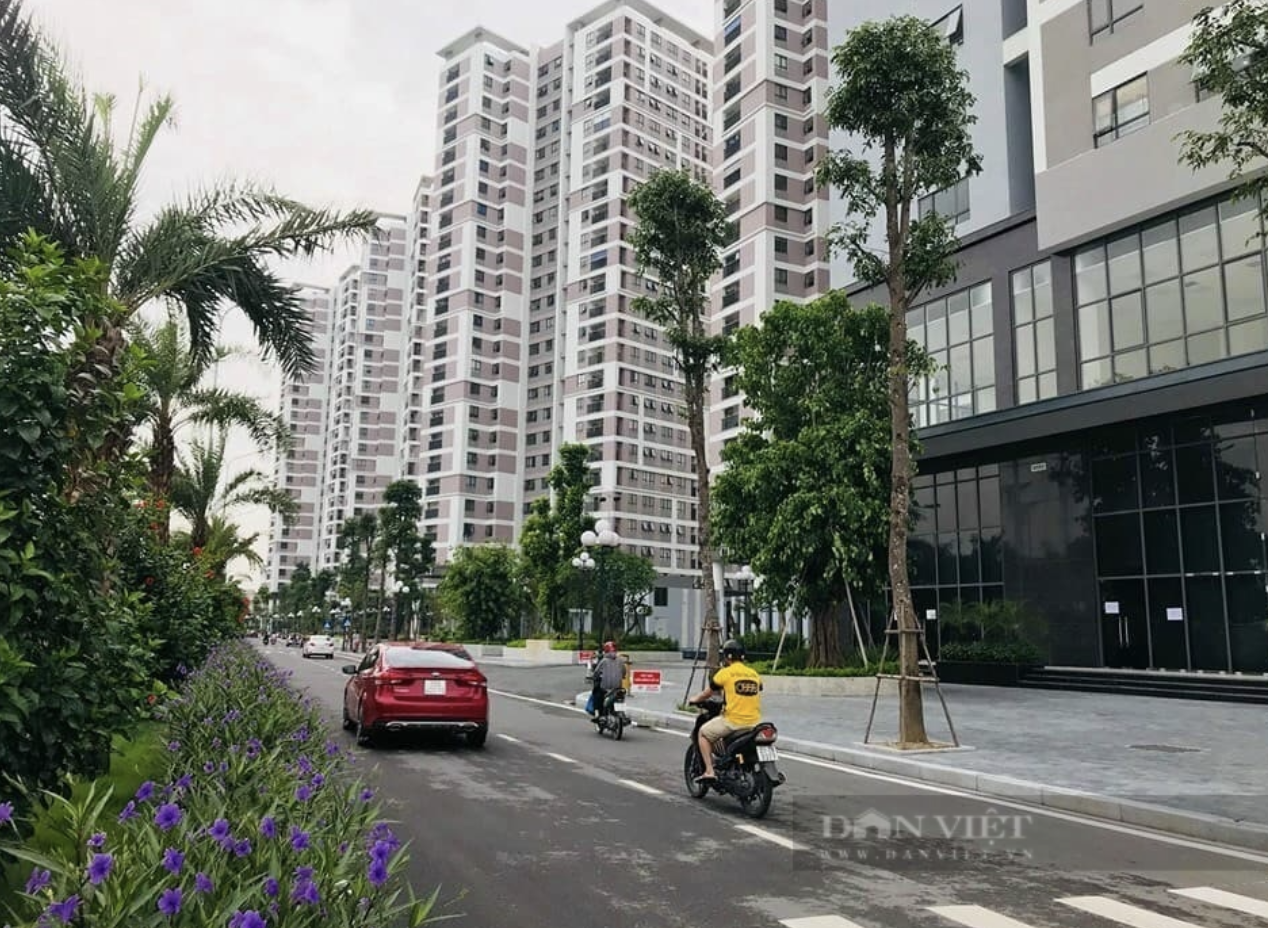Phó Thủ tướng yêu cầu không để xảy ra tình trạng "xin cho" trong thực hiện dự án thí điểm - Ảnh 2.