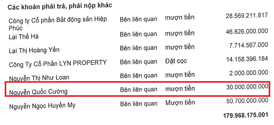 Báo lãi đậm năm 2024, Quốc Cường Gia Lai đã trả bà Trương Mỹ Lan bao nhiêu tiền? - Ảnh 4.