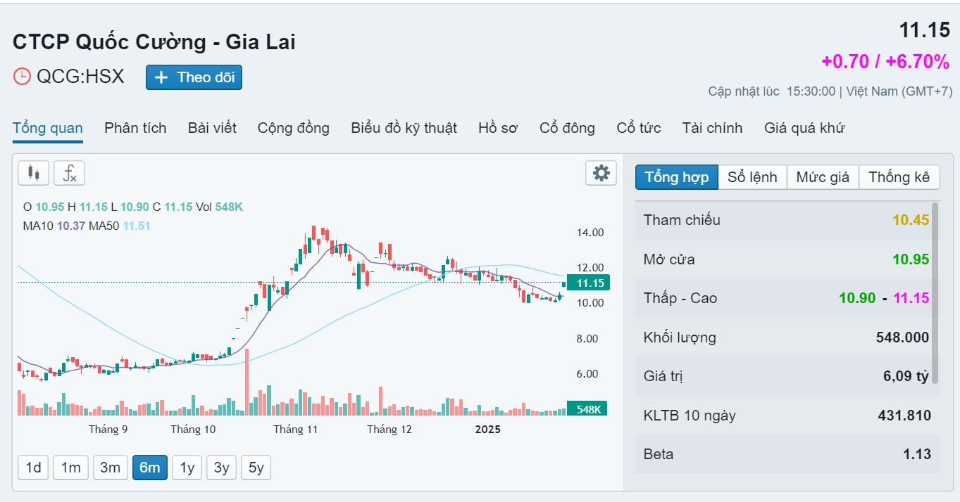 Báo lãi đậm năm 2024, Quốc Cường Gia Lai đã trả bà Trương Mỹ Lan bao nhiêu tiền? - Ảnh 5.
