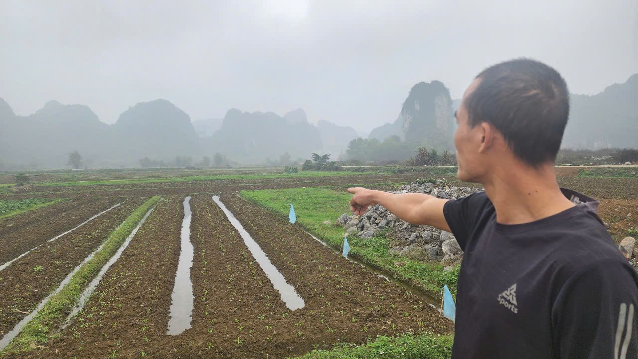 Giao Thanh tra huyện Yên Thủy (Hòa Bình) kiểm tra vụ việc vi phạm trong cấp sổ đỏ tại xã Ngọc Lương - Ảnh 1.