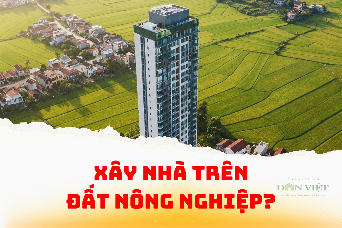 Từ năm 2025, người dân muốn xây nhà trên đất nông nghiệp cần phải đáp ứng những điều kiện gì?- Ảnh 1.