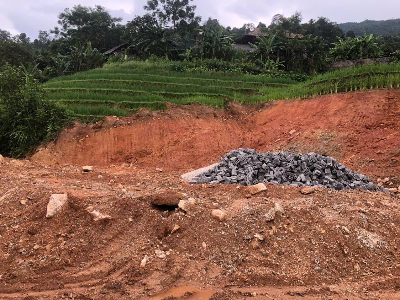 Hoàn cảnh khó khăn ở Hà Giang: Báo Dân Việt thắp hy vọng cho gia đình bị cháy rụi nhà- Ảnh 3.