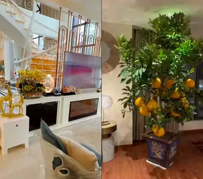 Á hậu duy nhất nhận danh hiệu Nghệ sĩ Nhân dân, Tăng Thanh Hà trang trí nhà tiền tỷ đón Tết 2025- Ảnh 13.