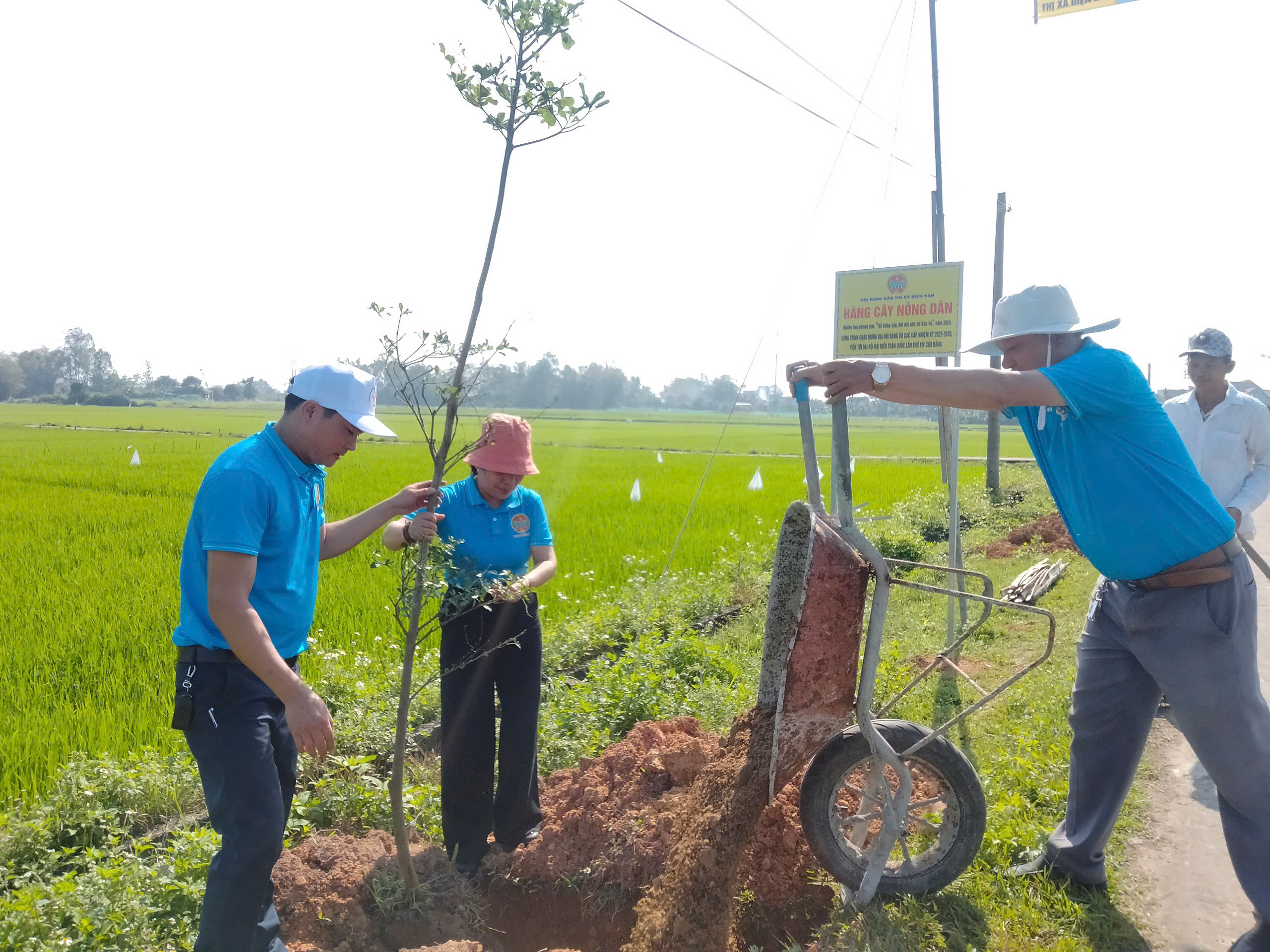 Quảng Nam: Hội Nông dân thị xã Điện Bàn lan tỏa phong trào “Tết trồng cây đời đời nhớ ơn Bác Hồ”- Ảnh 5.