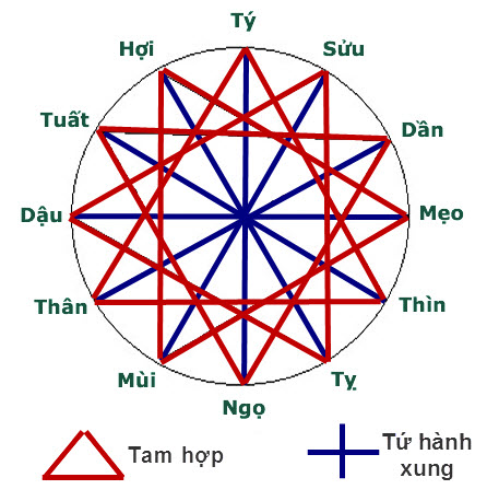Sơ Đồ Tứ Hành Xung: Khám Phá Bí Mật Trong Tử Vi Và Ứng Dụng Thực Tiễn
