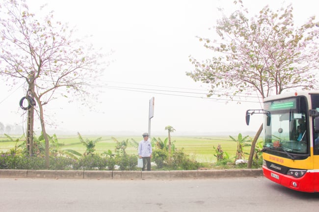 anh: dan lang ngo ngang vi ve dep cua 